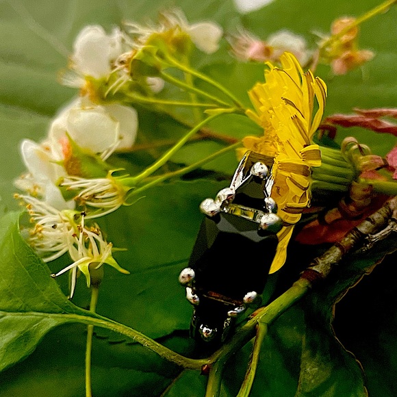 Asscher Charcoal Gem set in silver - Picture 4 of 12